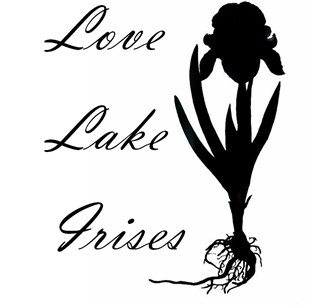 Love Lake Irises